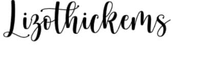 Lizothickems banner image