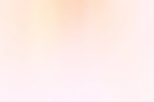 Gina banner image