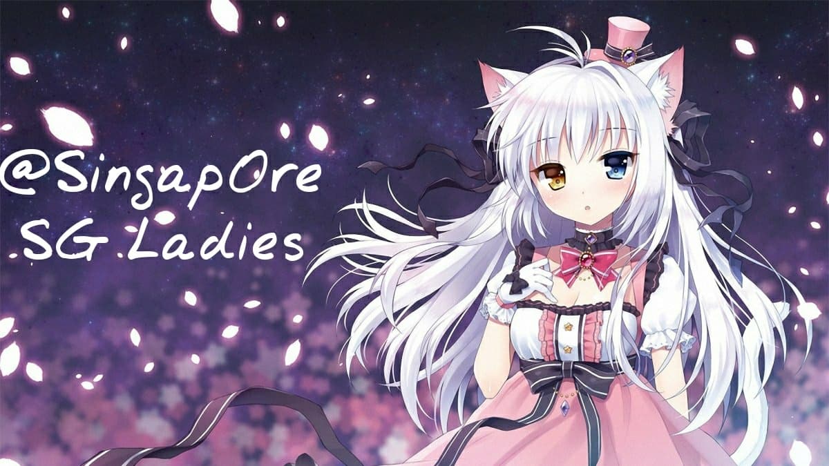 Singapore's beauties🇸🇬❤️ banner image