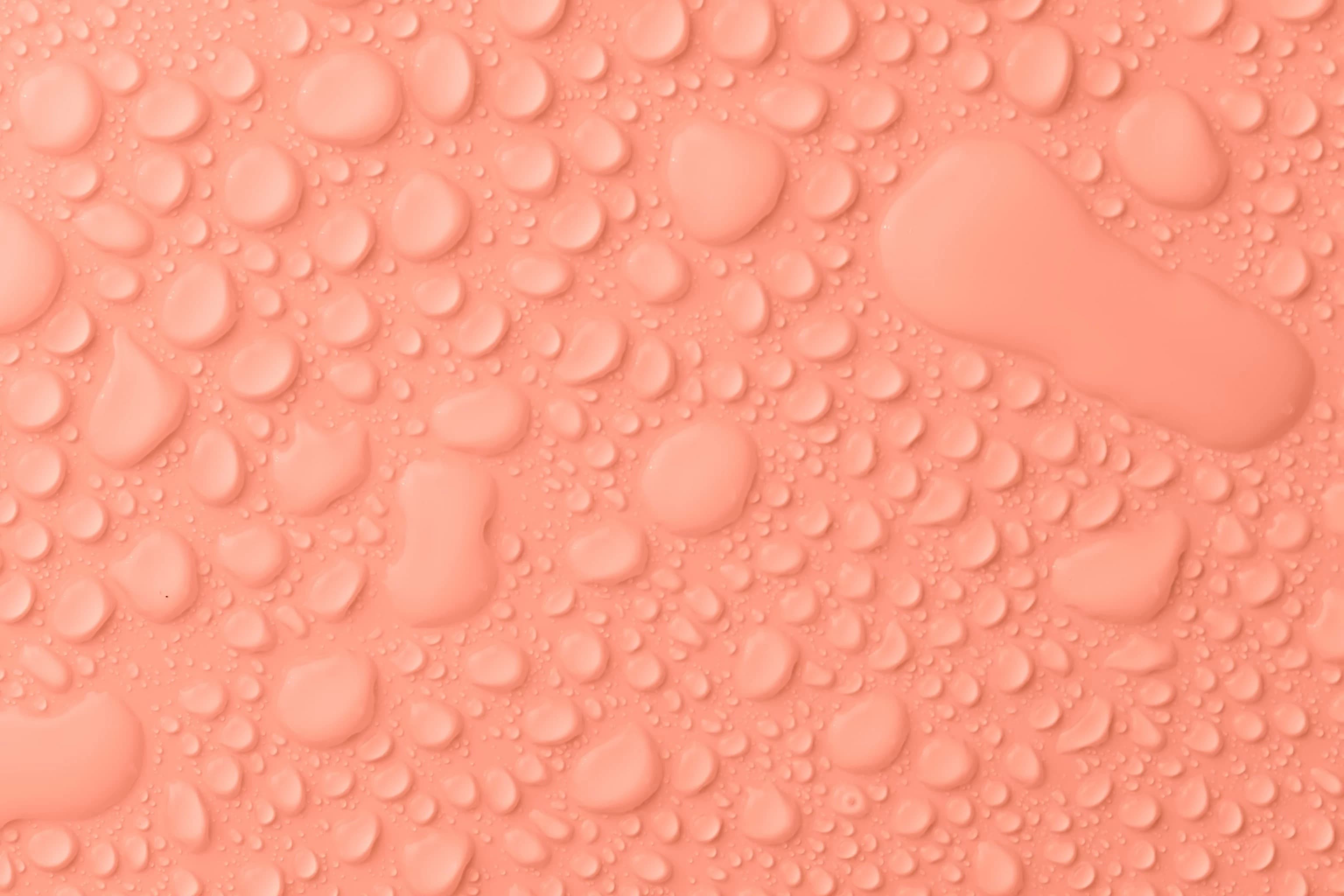 El B banner image