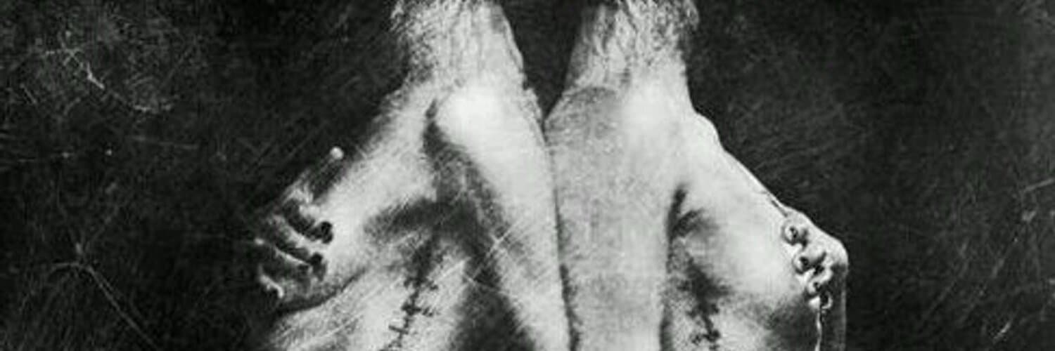 ColorMeDead banner image