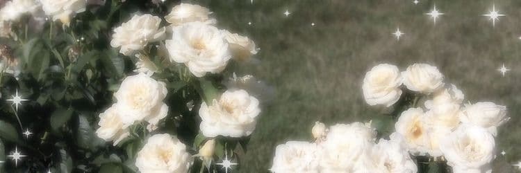 Larosa banner image