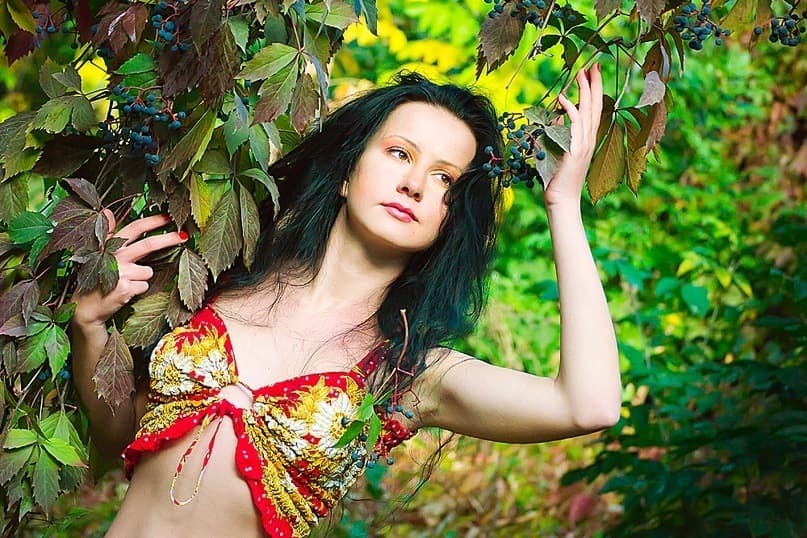 Tilova banner image