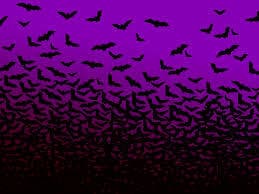 Gothicone1 banner image