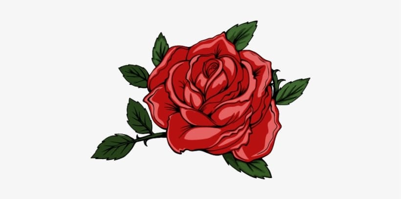Rose Zoey🌹 banner image