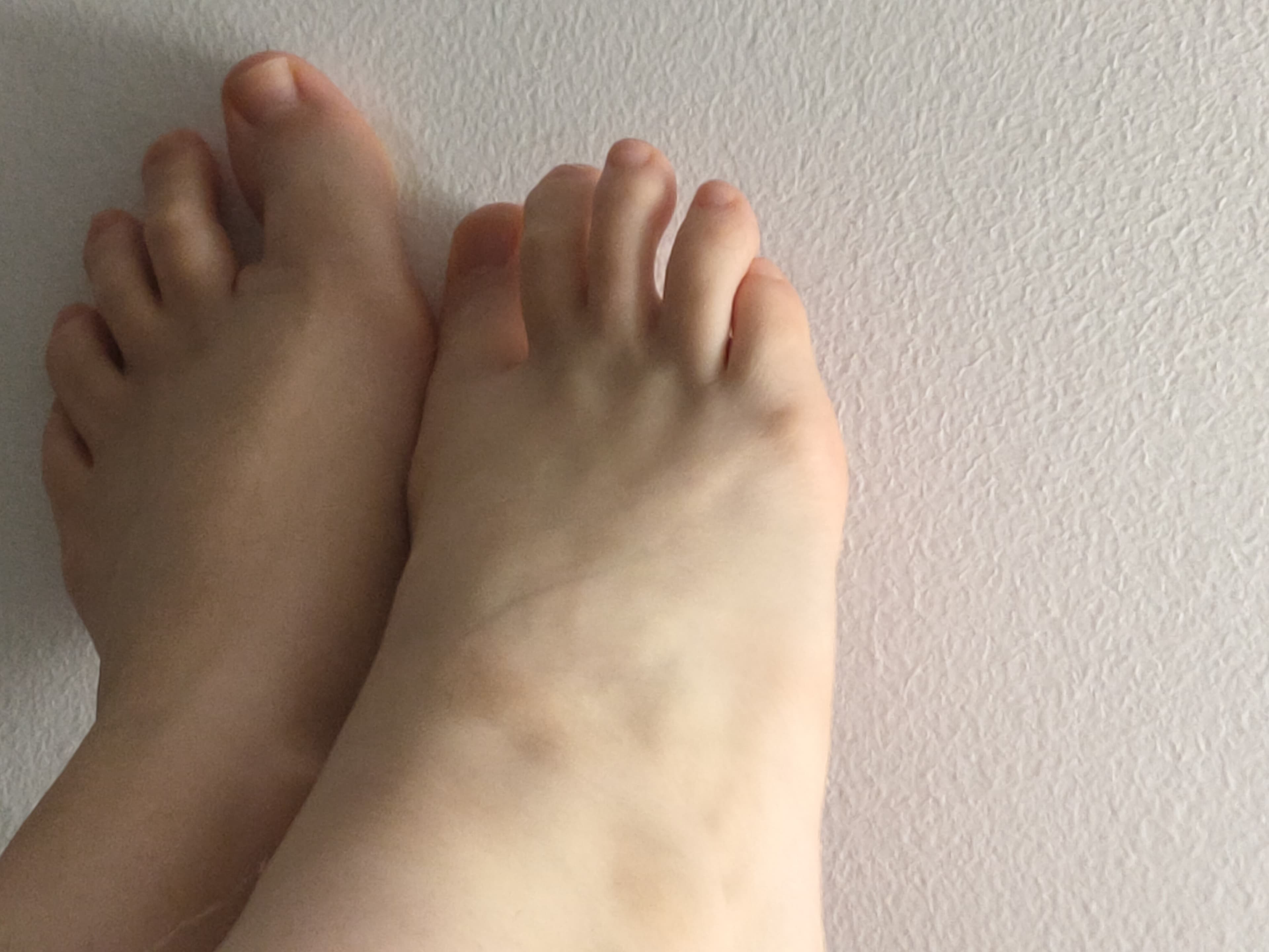 Geeky feeties banner image