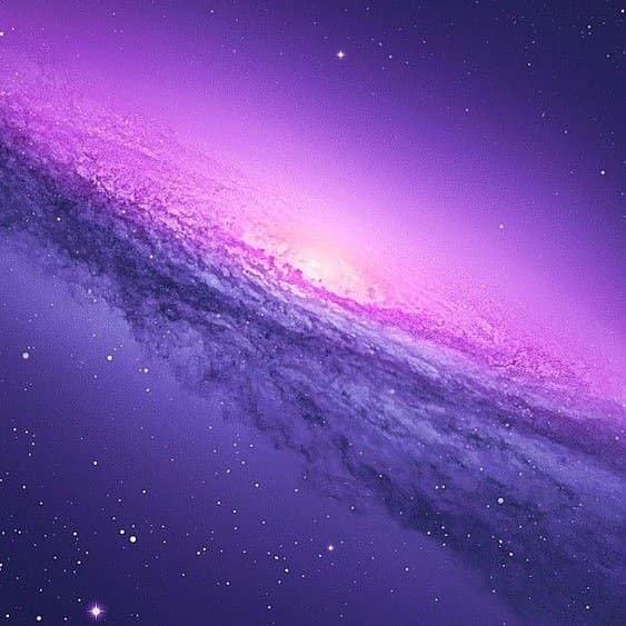 Dustin Enrique. banner image