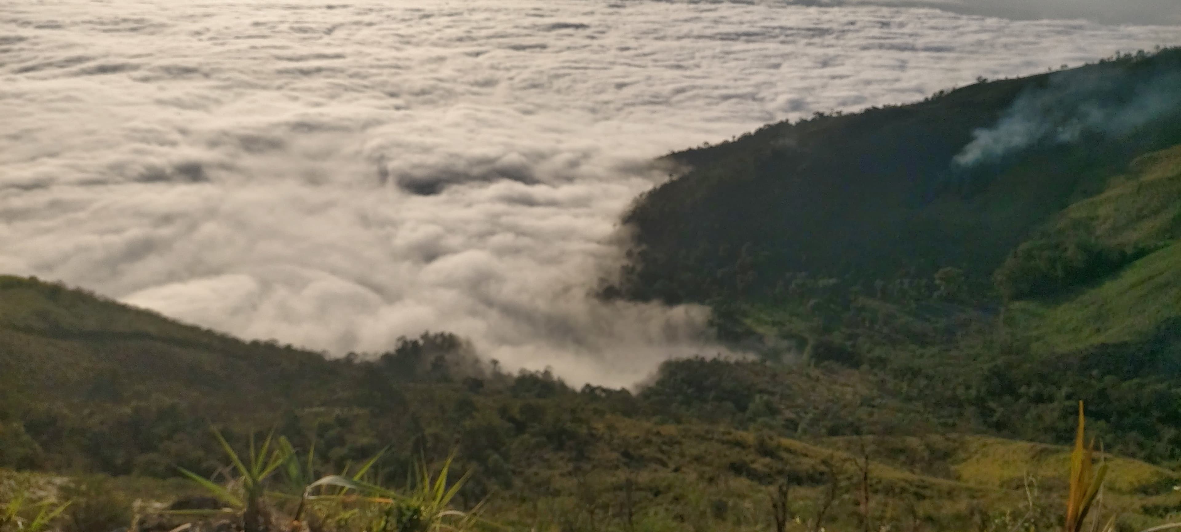 QueHay banner image