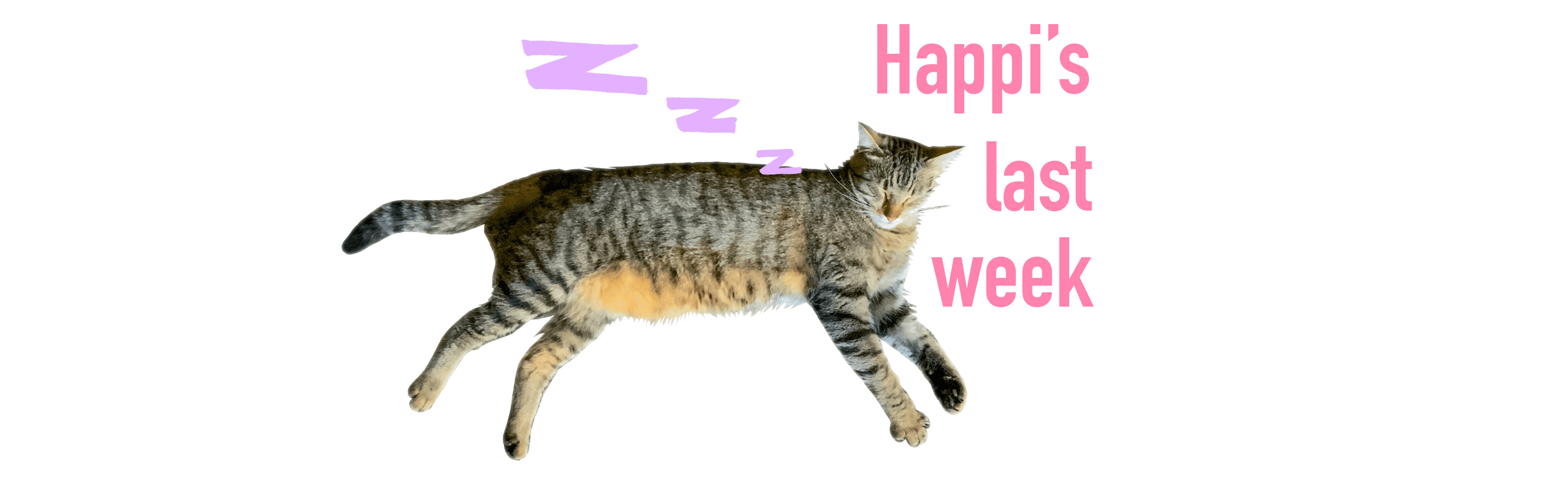 Happi banner image