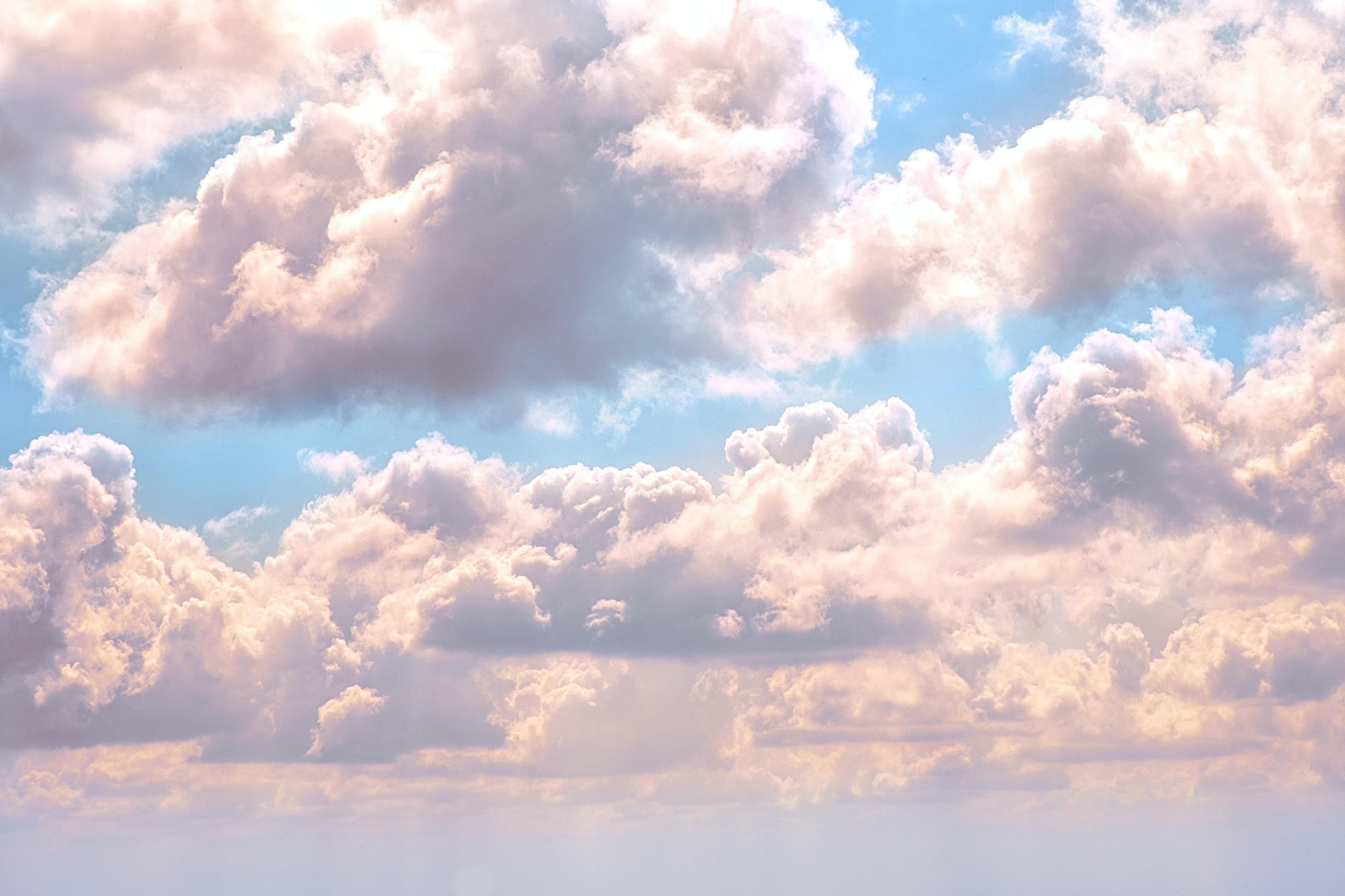 kay banner image