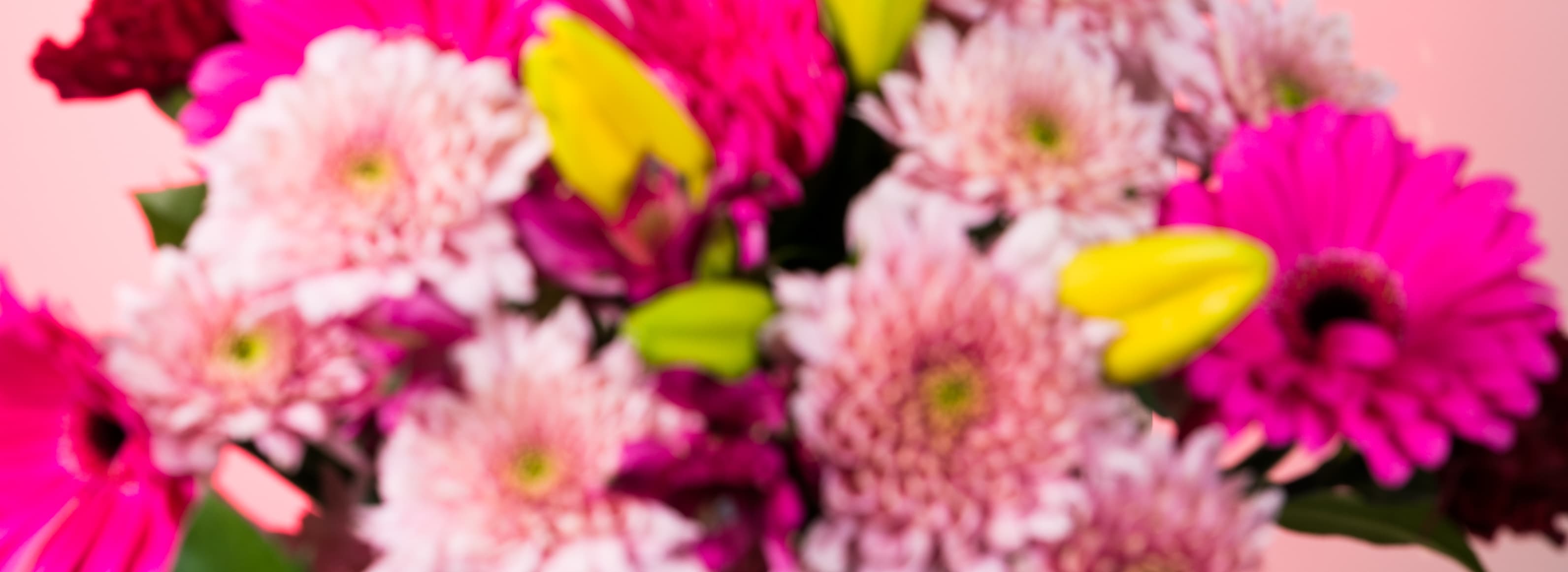 KittyxKat98 banner image