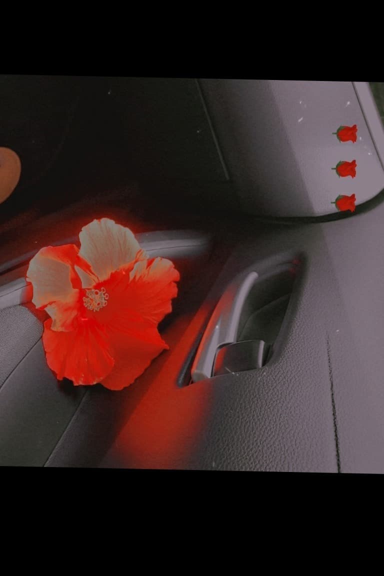 Slimm banner image