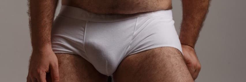 Scruffy Stocky Cub banner image