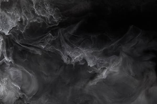 Olivia Moore banner image