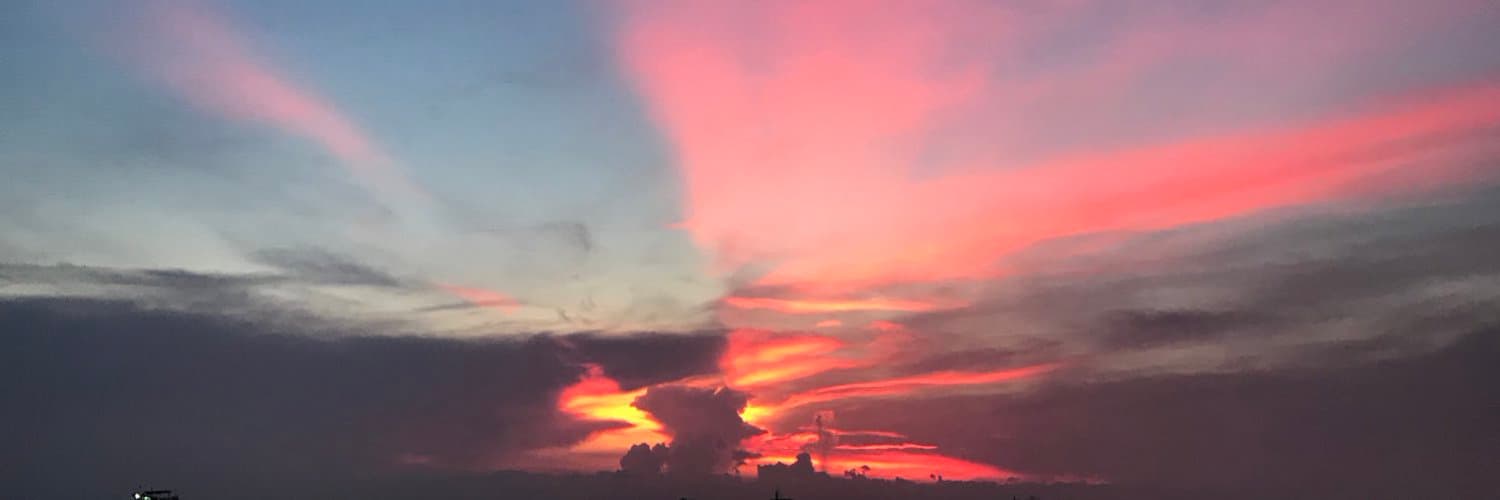 MissLonelyFeet banner image