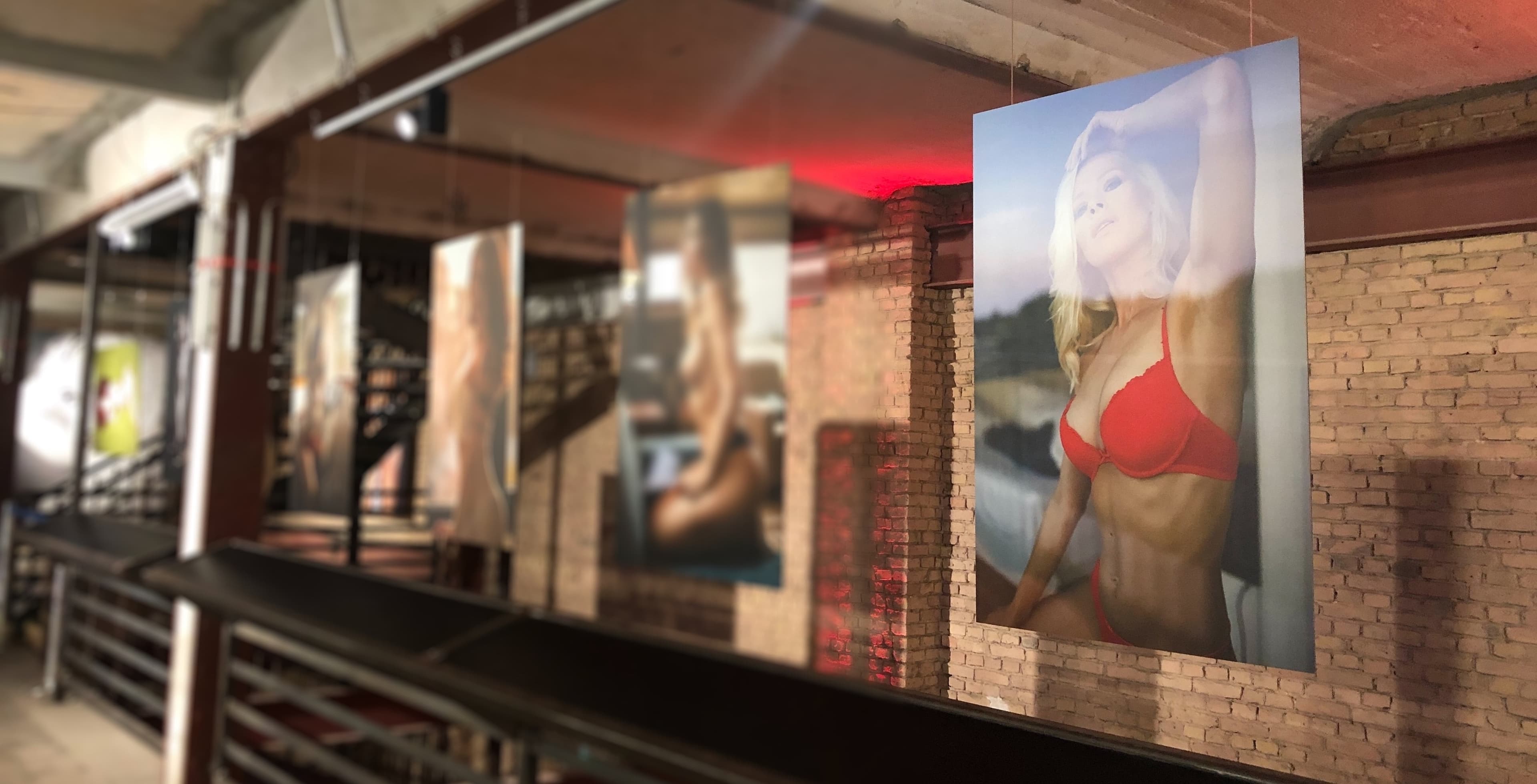 Aliona Kaifa banner image