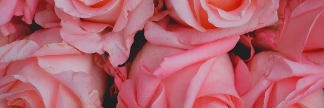 Karlee love banner image