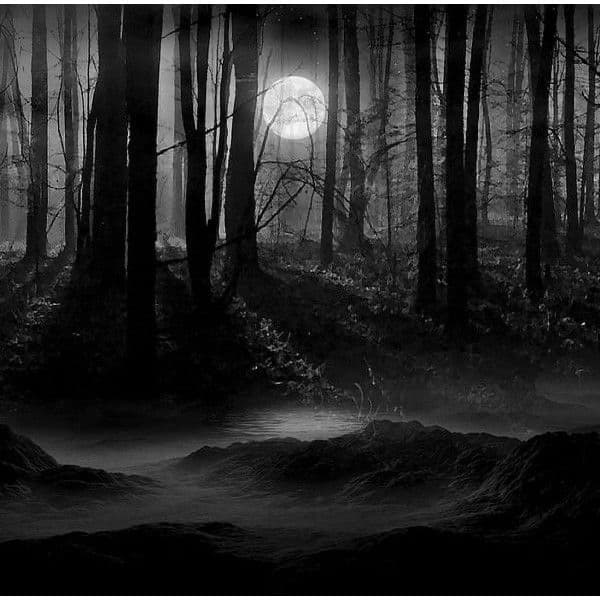TristanO banner image