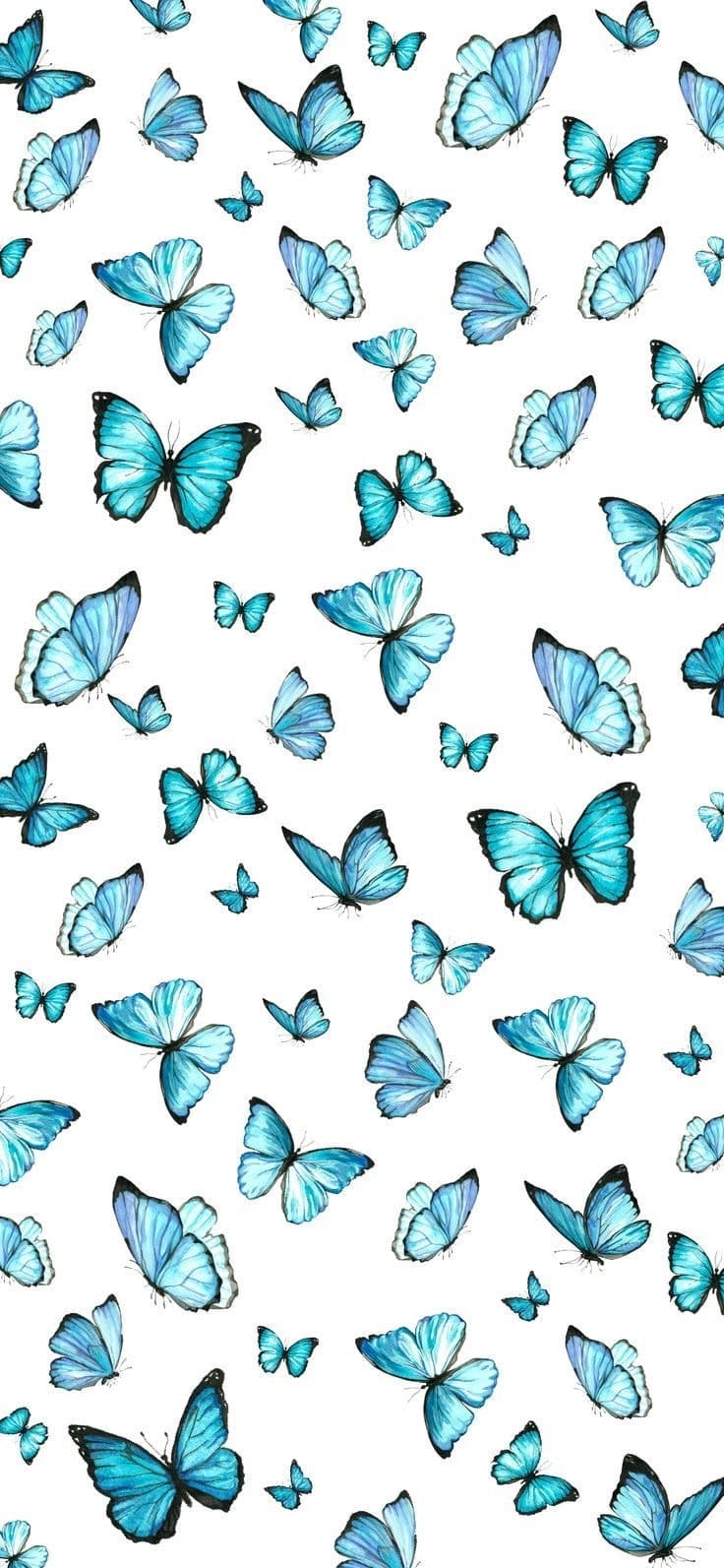 Pernille banner image