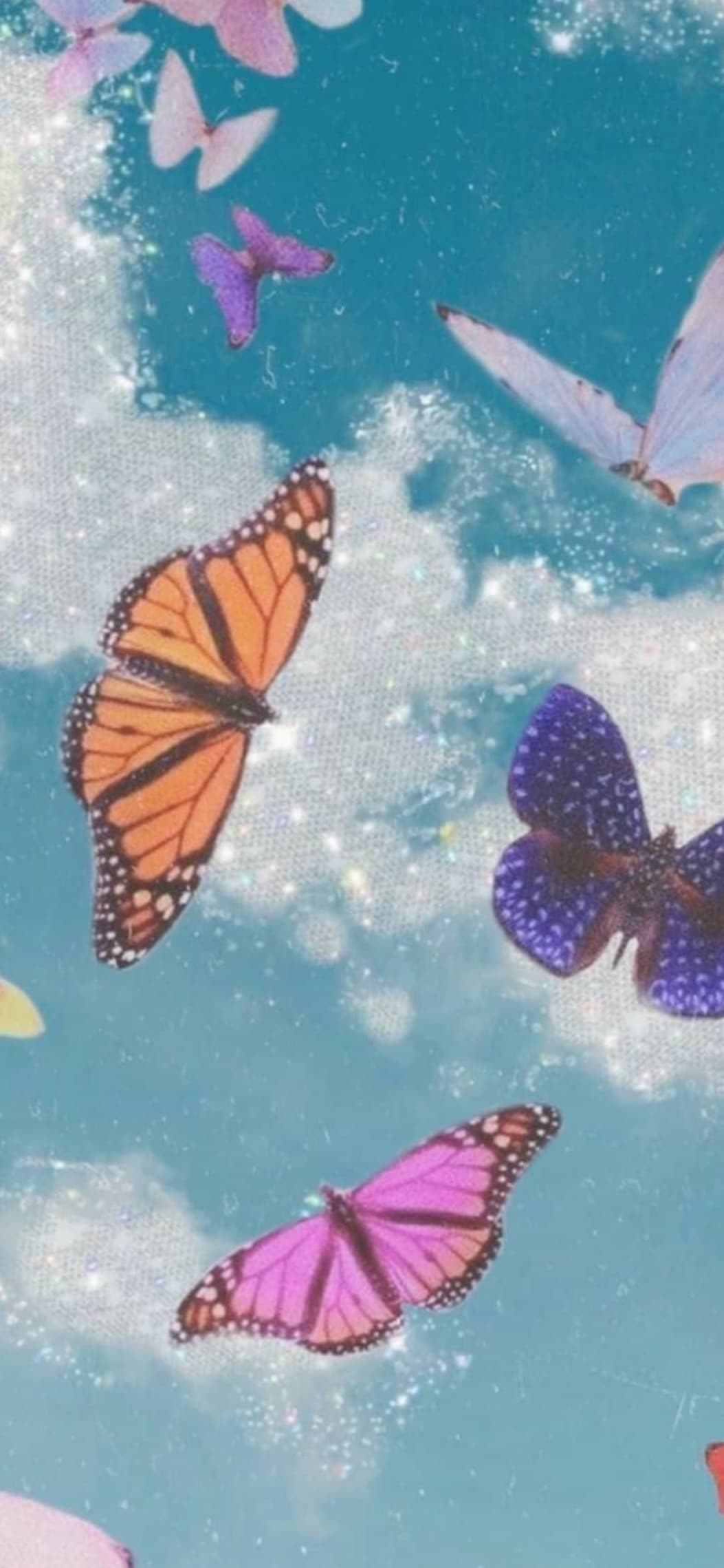 Isabella banner image