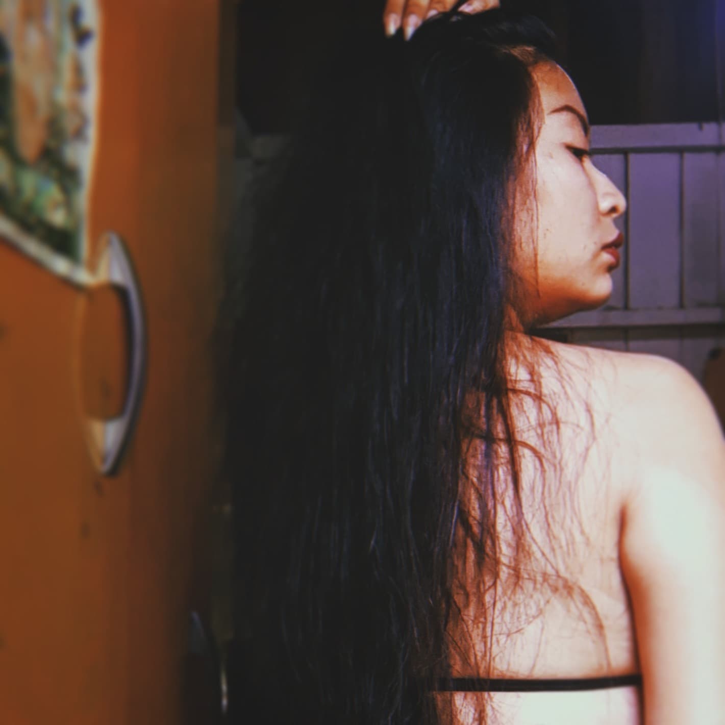Mollycita banner image