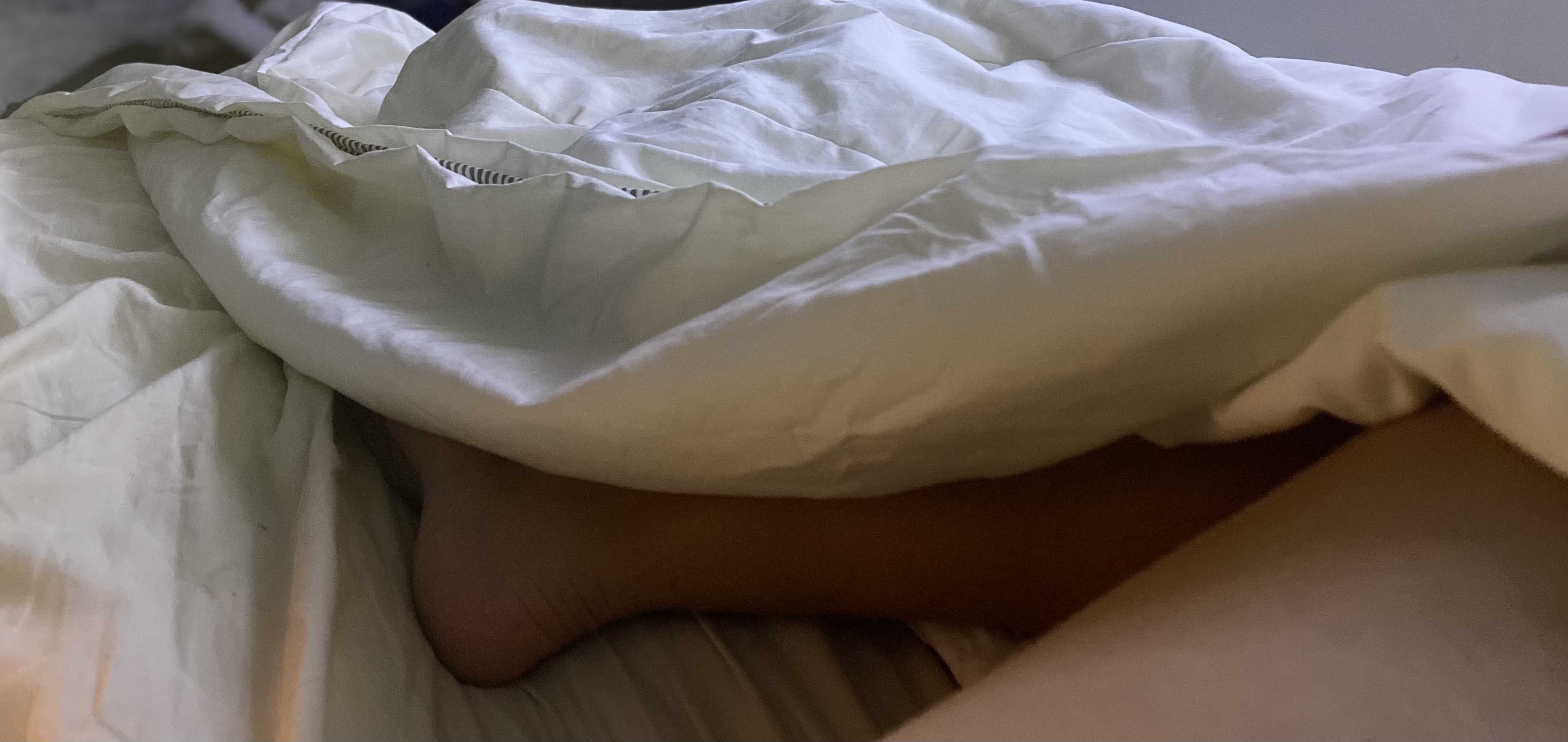 Kayla banner image