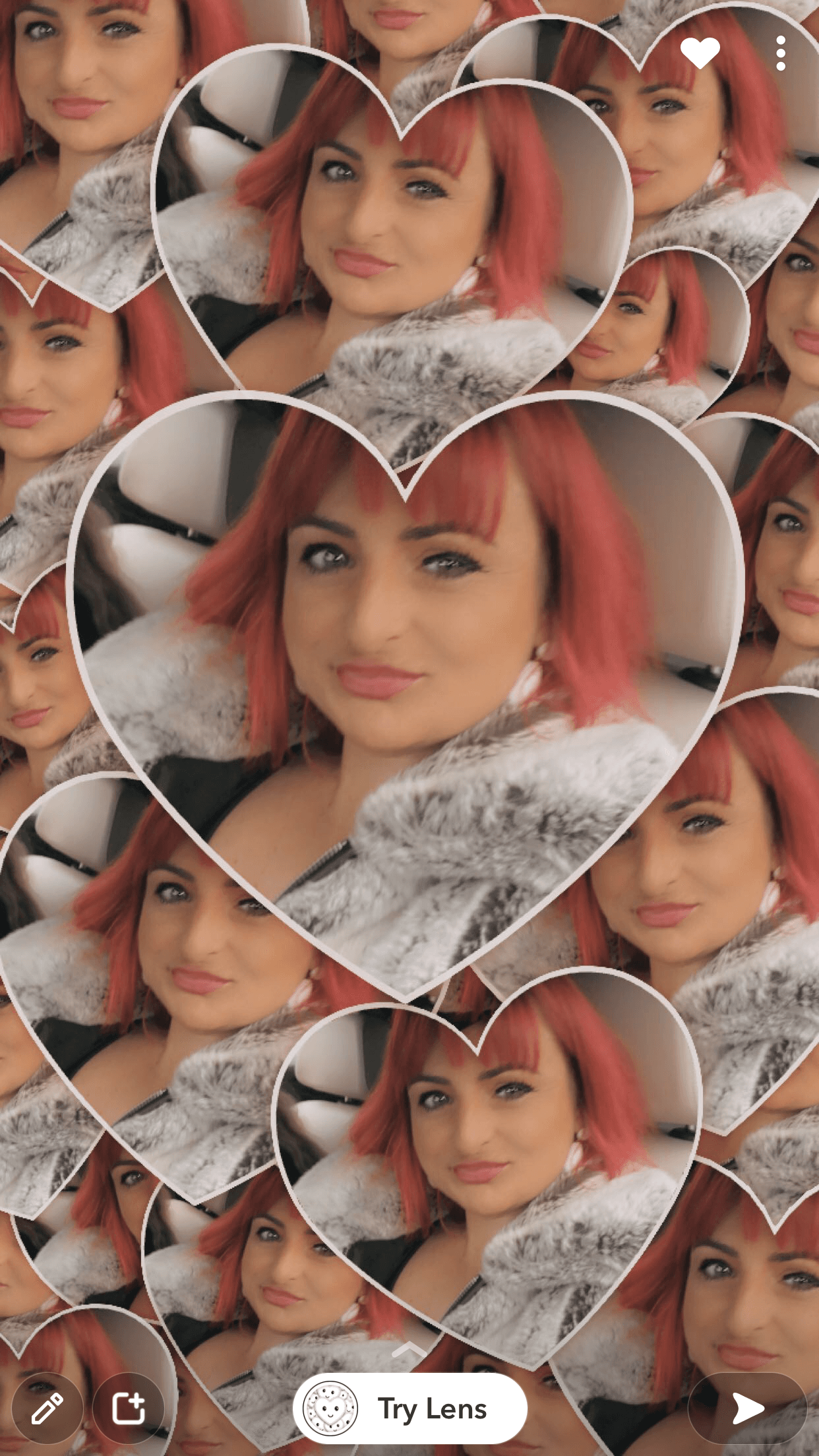 Cheeky Aussie needing your love ❤️ banner image