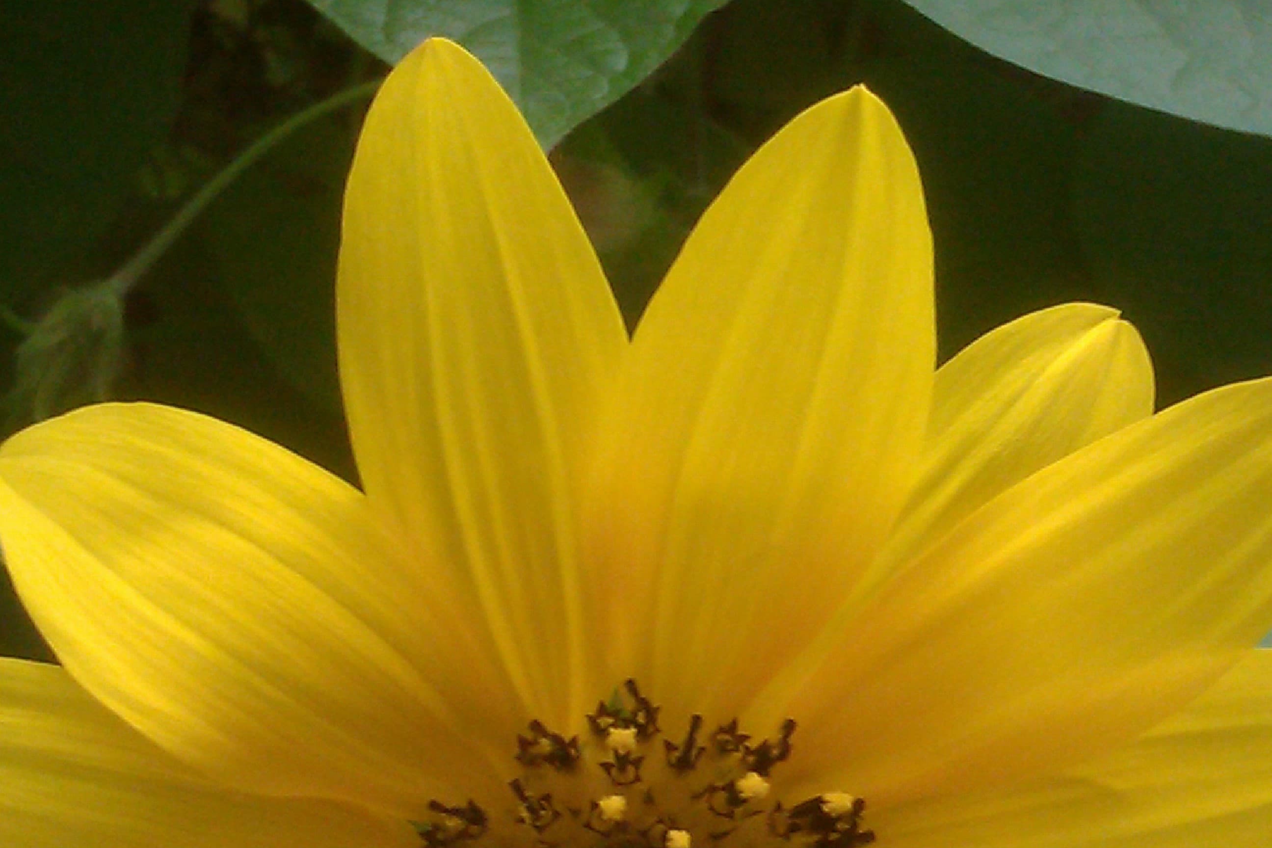 Mo_Mouse82 banner image