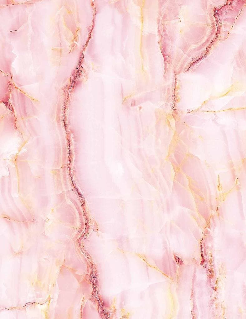 Little Lady banner image