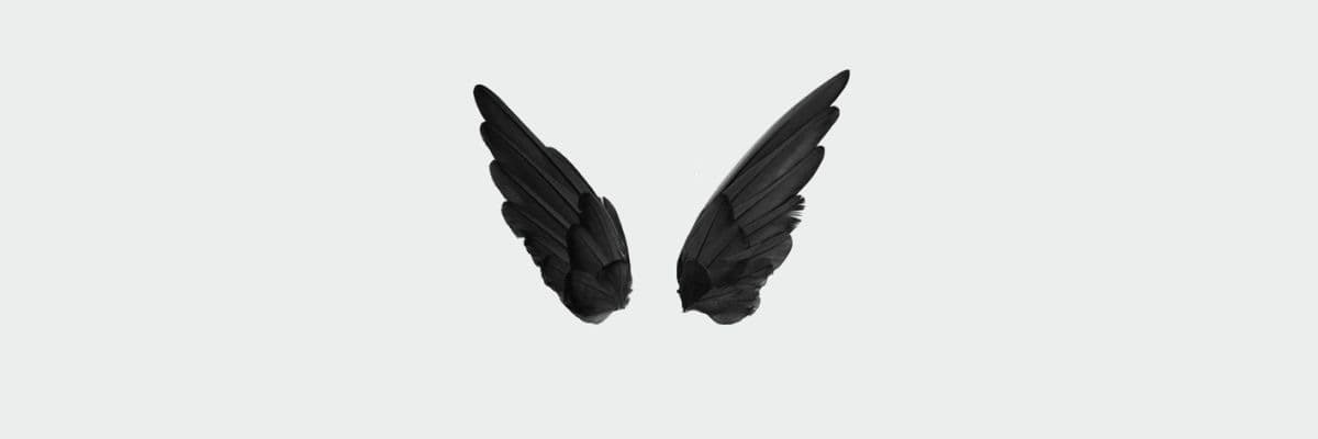 fade banner image