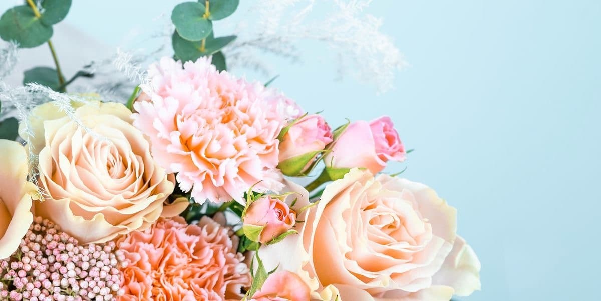 Lean Sassie banner image