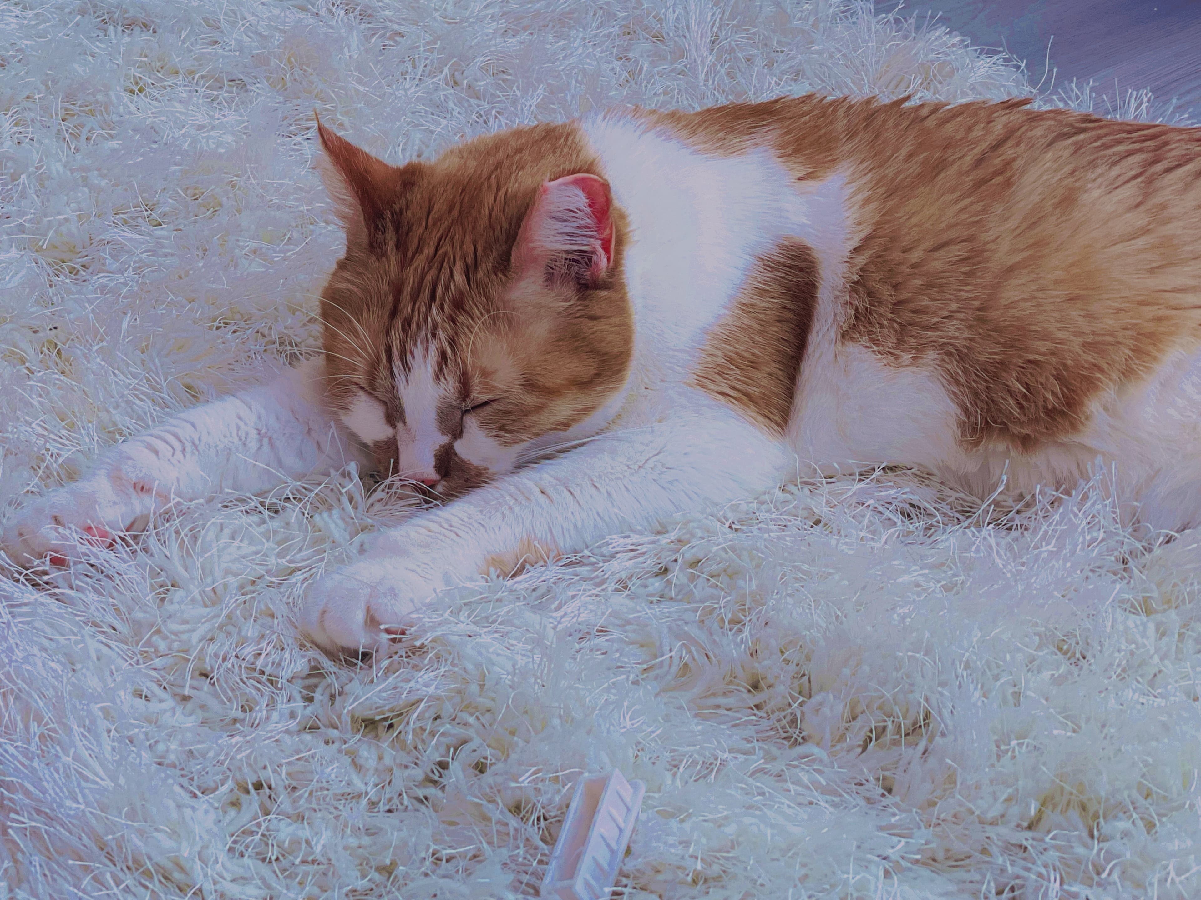 Leana Lovings ♡ banner image