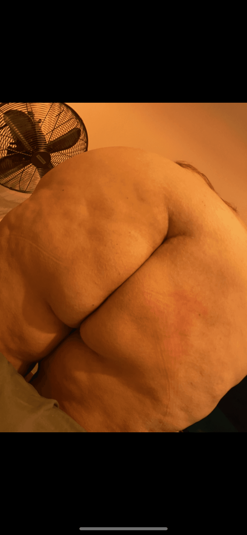 Bonnie banner image