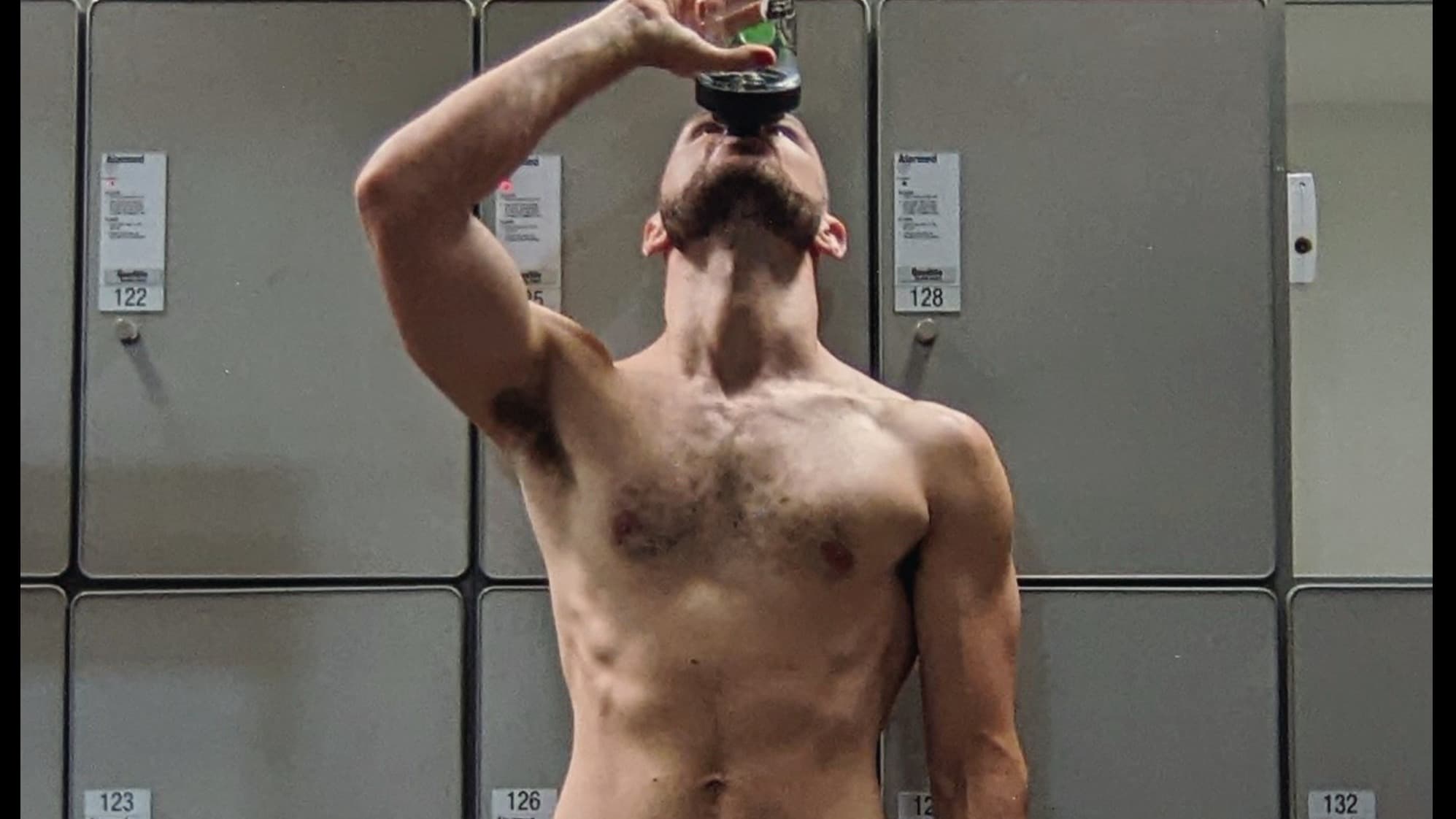 Dingo banner image