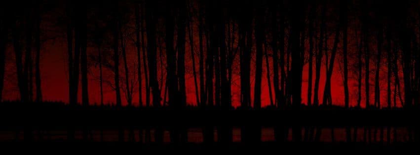 Maria Avila banner image