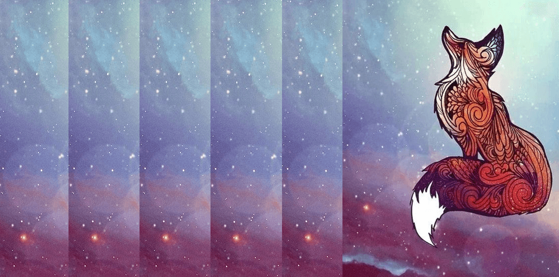 Whatupfoxxy banner image