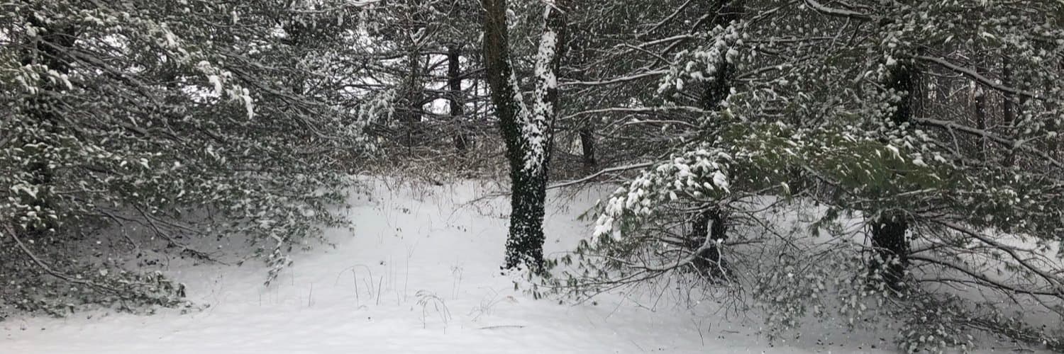 L. Gralorm banner image