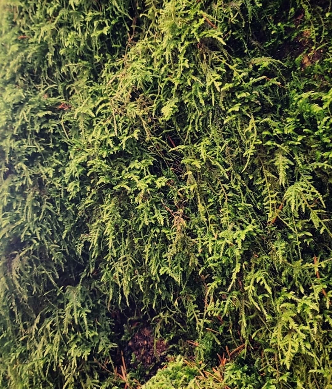 Eryn banner image