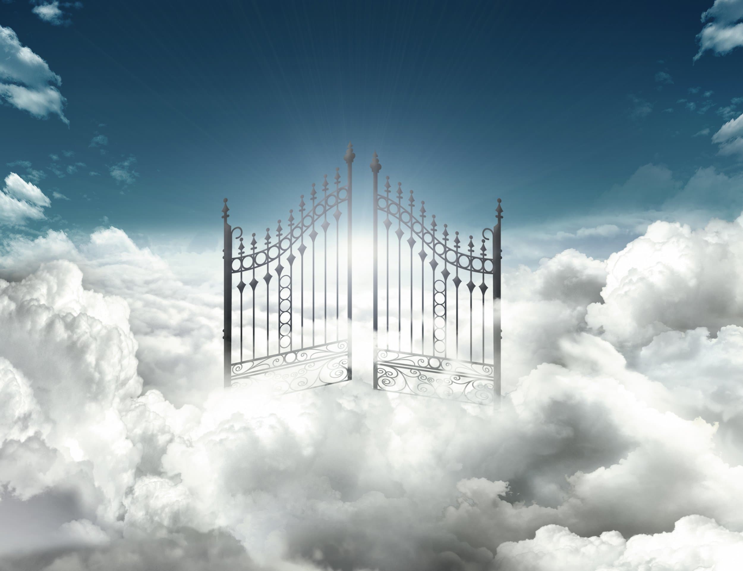 Kadiekai banner image