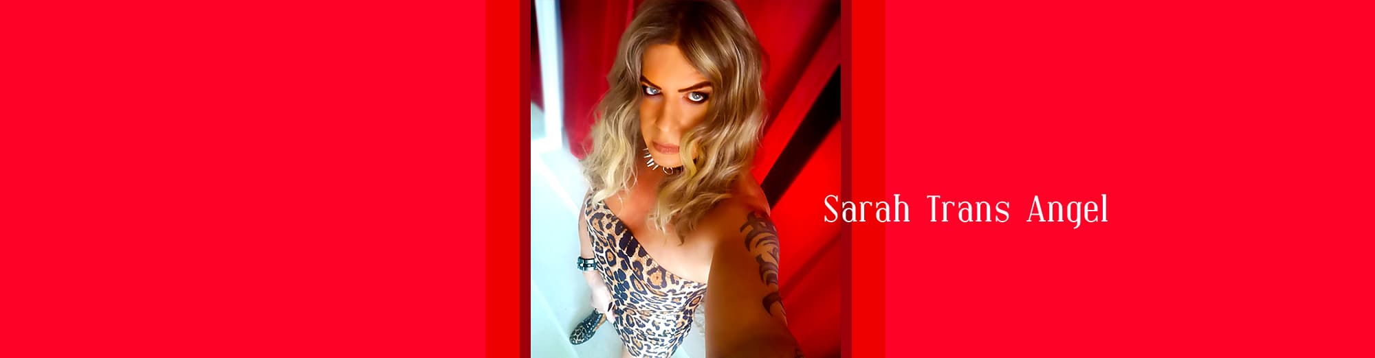 Sarah Trans Angel banner image
