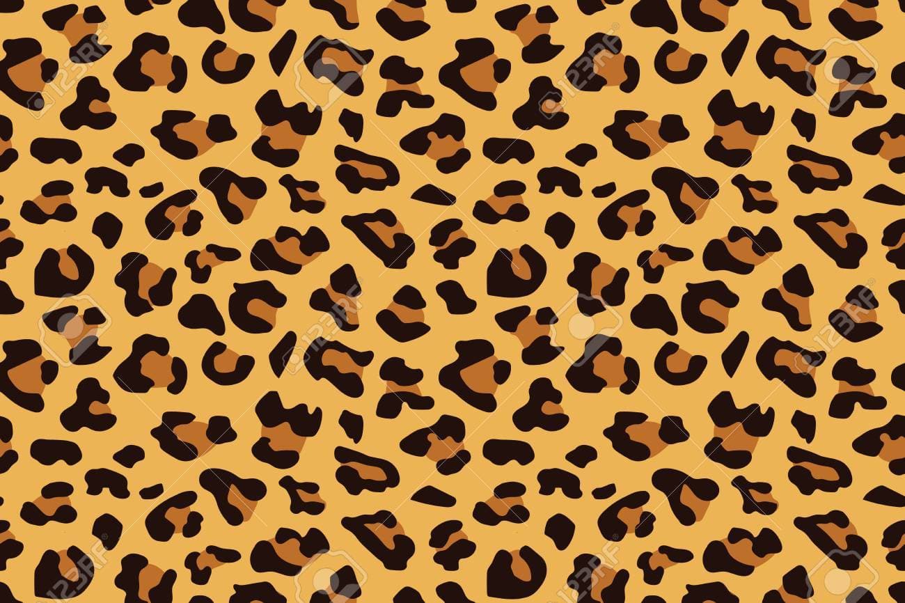 Stephanie banner image