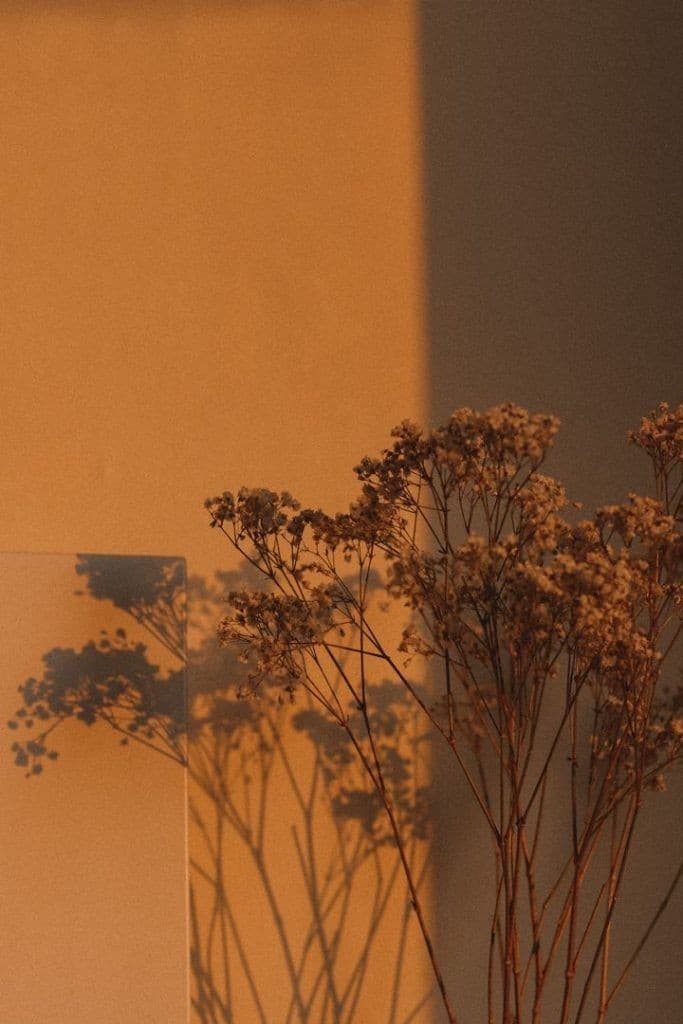 Marks banner image