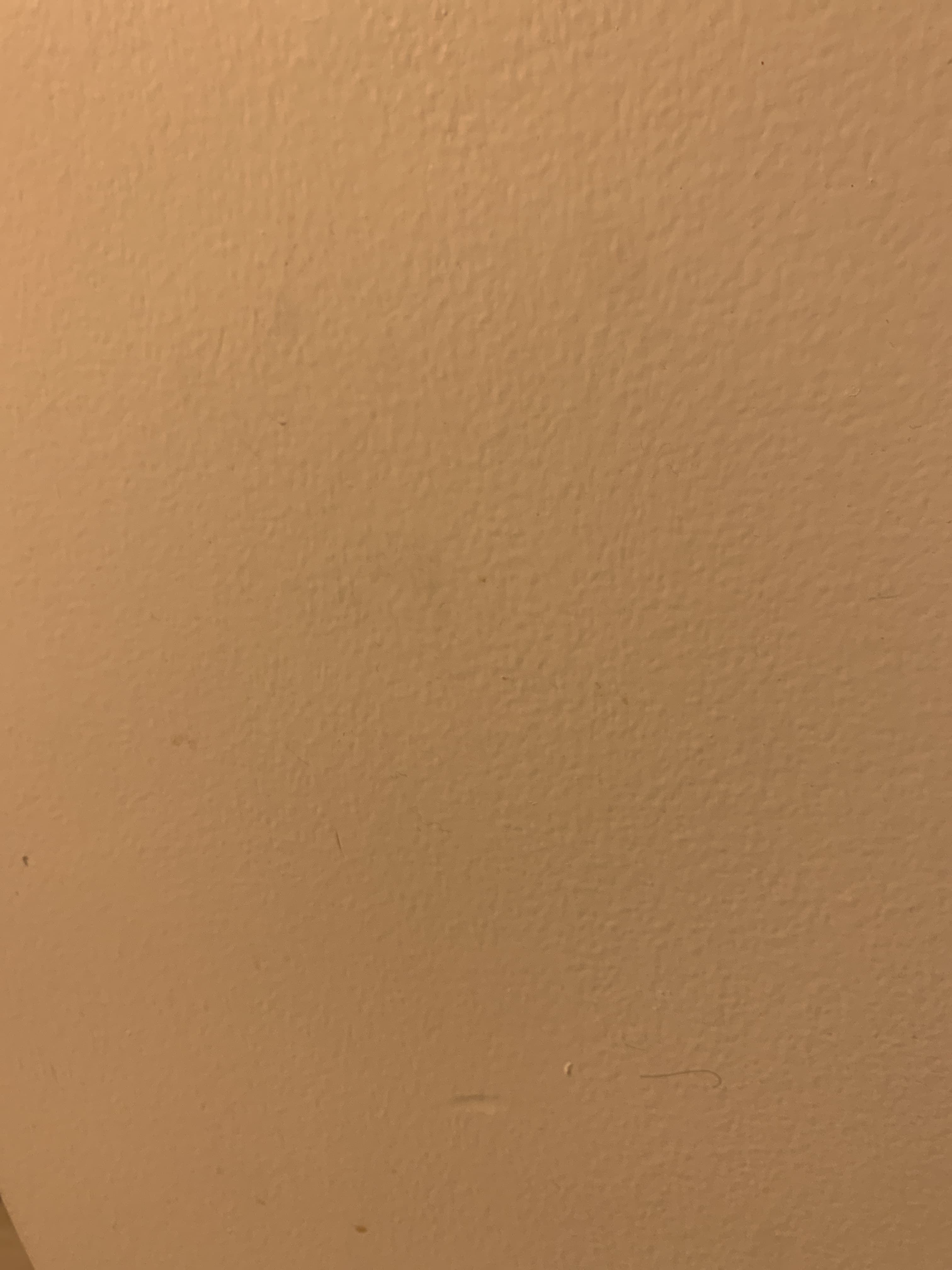 Hanna banner image