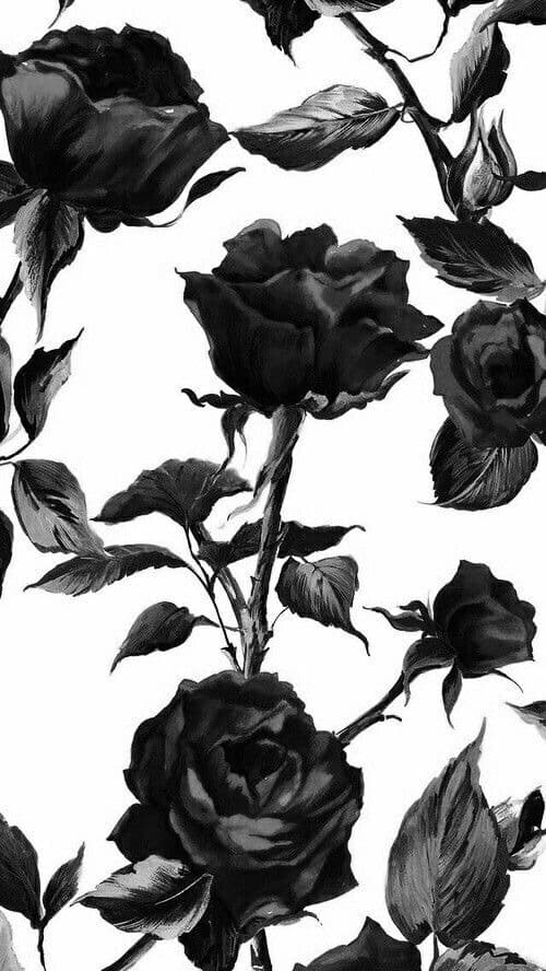 Tessie12 banner image