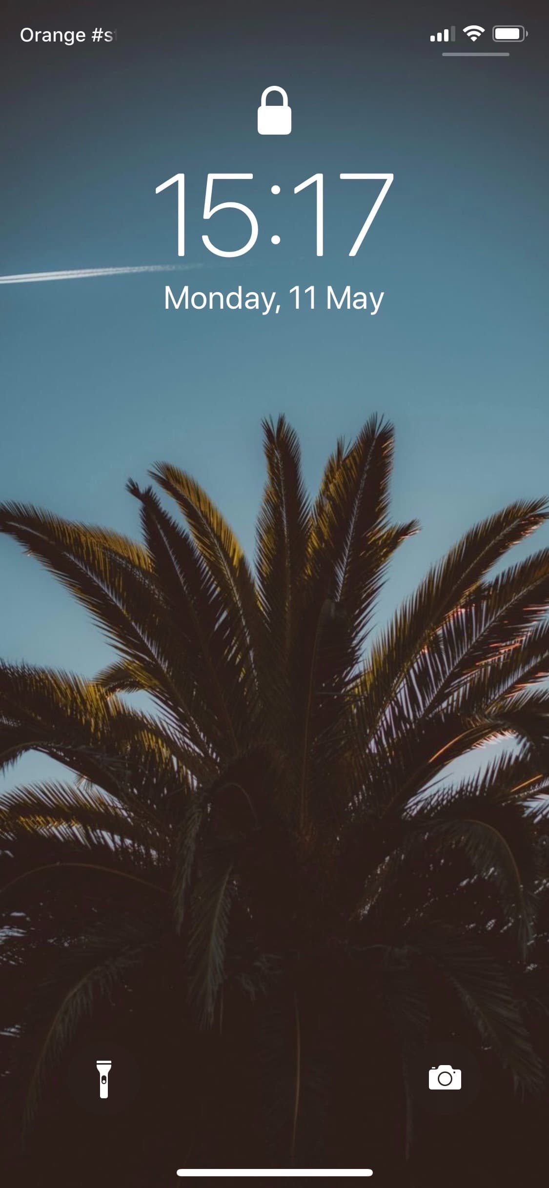 Desiree banner image