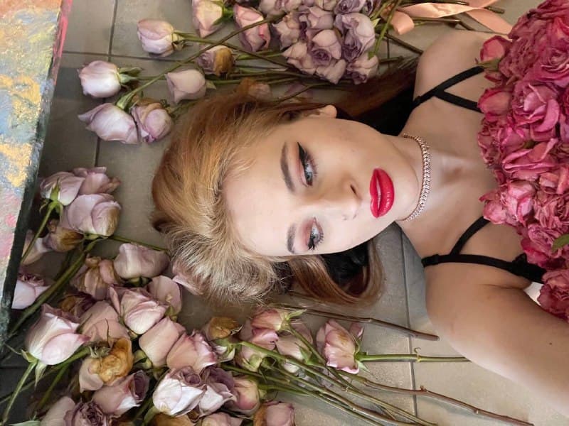 waxpaula banner image