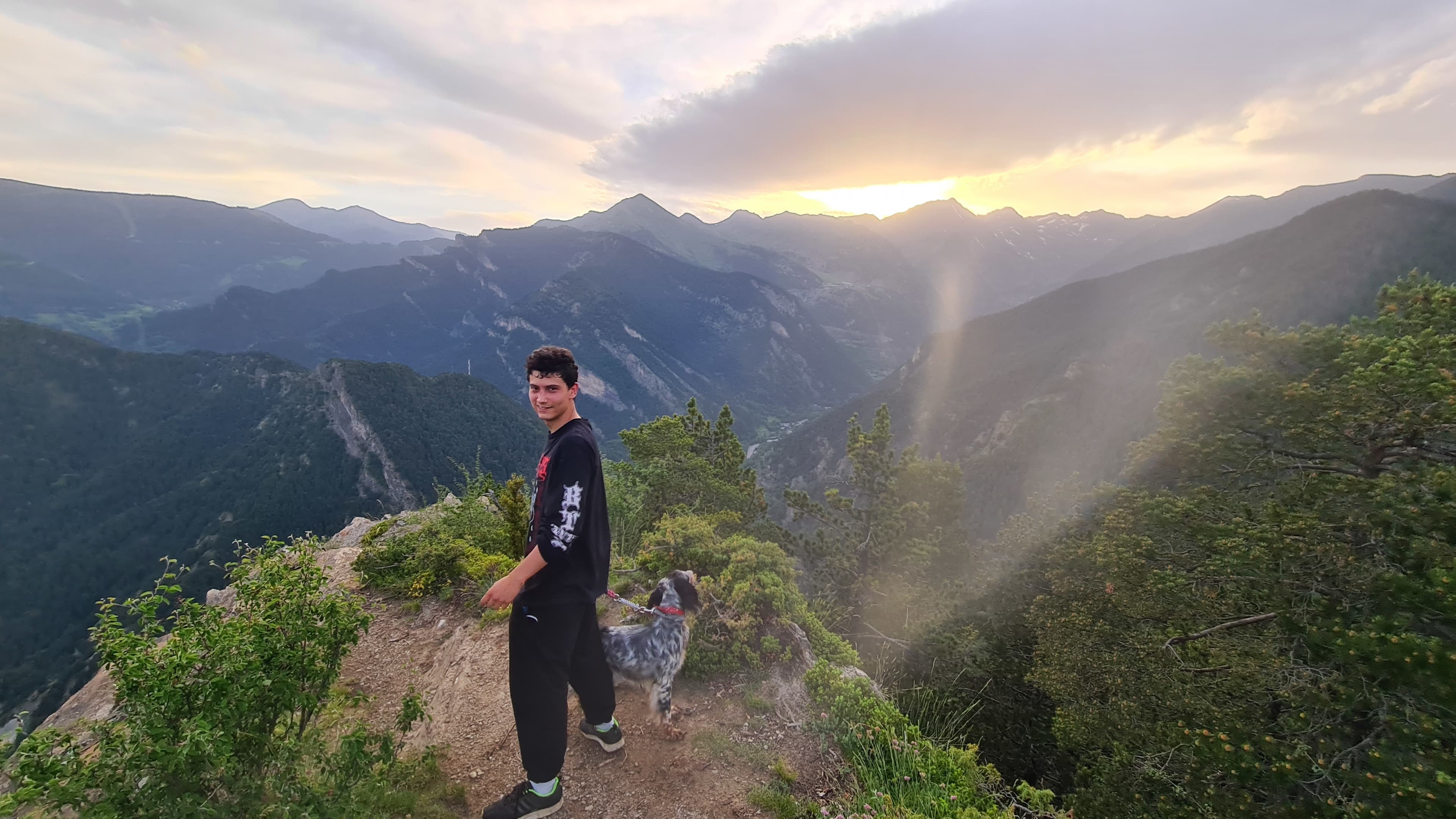 Sobi 🍃🍃 banner image