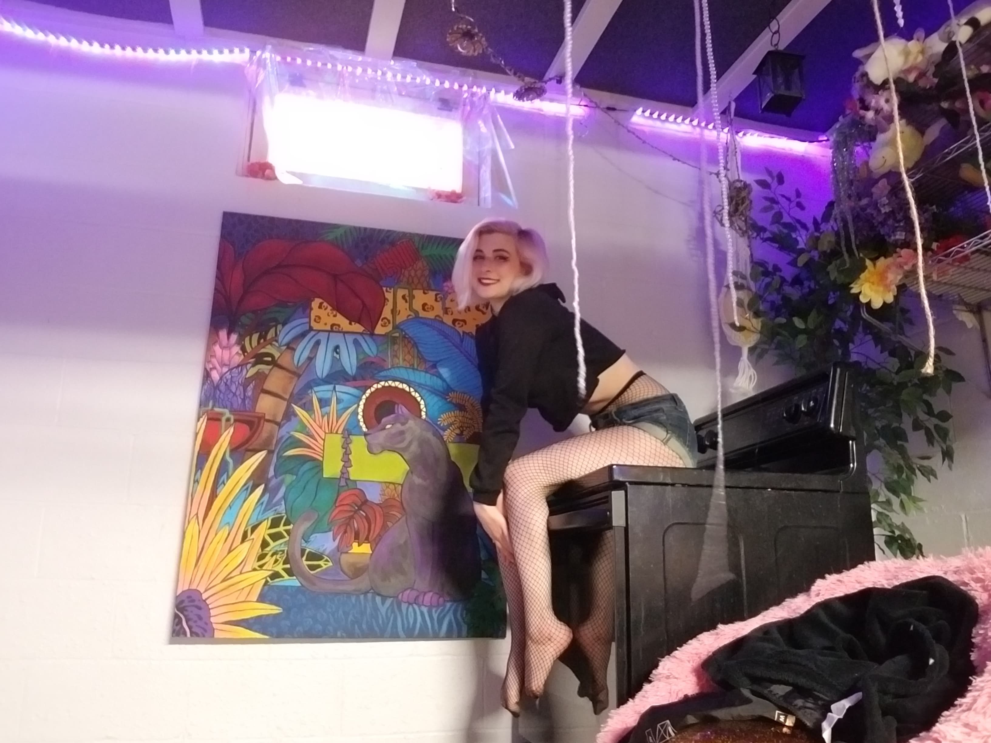 Megan SkittyKat banner image