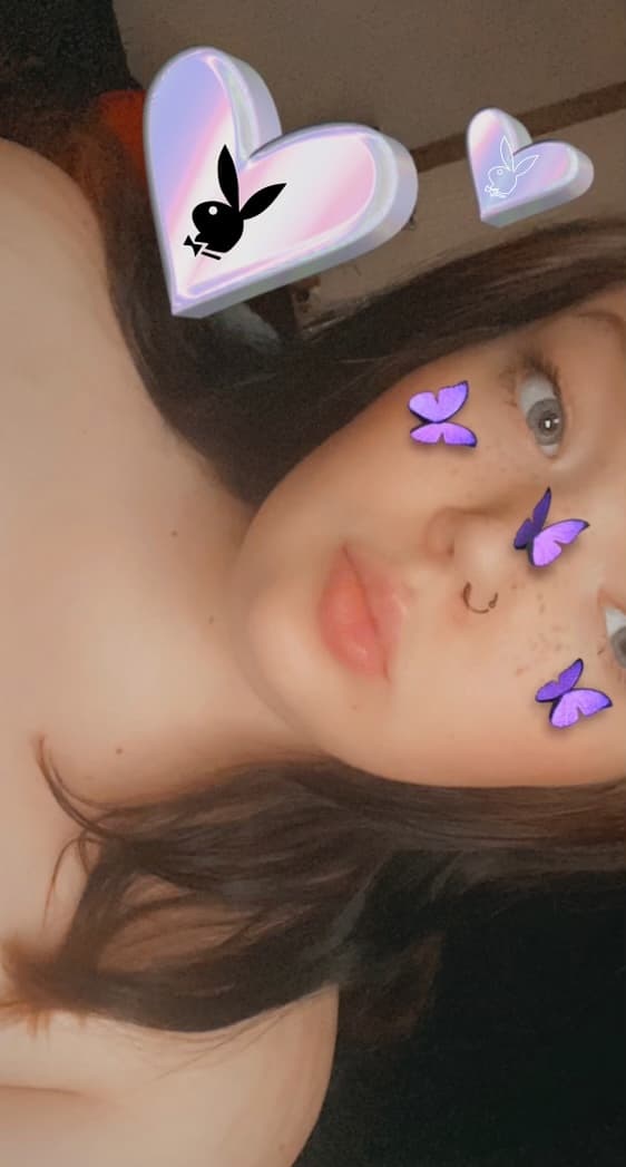 Lizzy lizards 🦎 banner image