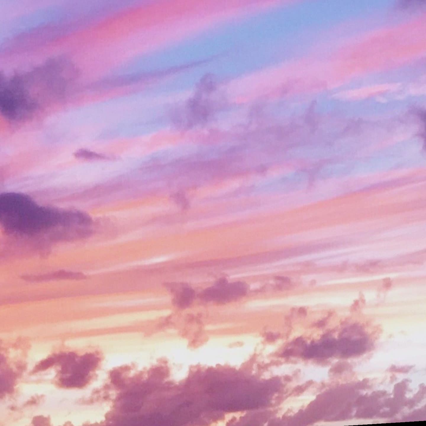 B banner image